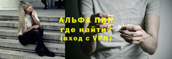 ешки Белокуриха