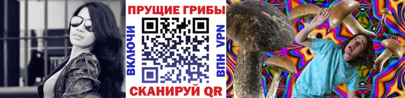 Псилоцибиновые грибы мухоморы  где продают наркотики  Невинномысск 